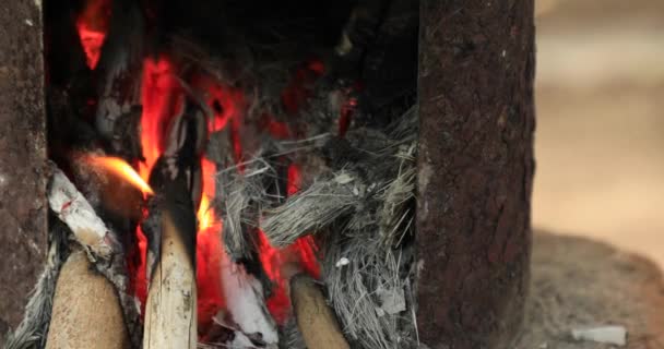 Fuego y leña ardiendo en el pueblo, fondo es un hermoso natural — Vídeo de stock