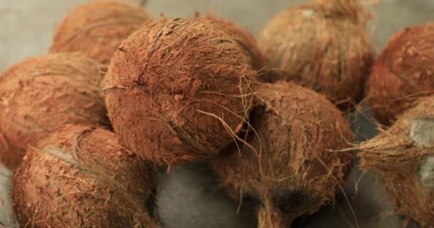 Closeup cocos castanhos frescos no terreno — Vídeo de Stock