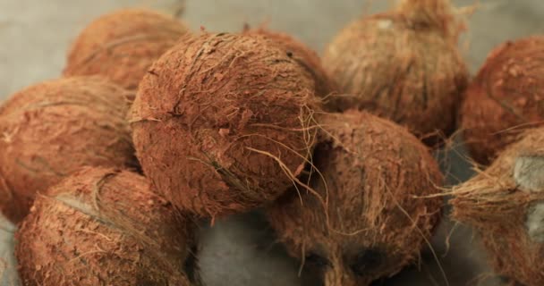 Primer plano cocos marrones frescos en los terrenos — Vídeos de Stock