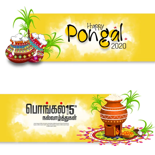 Projeto feliz do feriado de Pongal com fundo verde do festival indiano. feliz pongal traduzir texto Tamil . — Fotografia de Stock