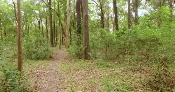 Vol à travers la jungle, Asie du Sud-Est 