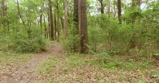 Vol à travers la jungle, Asie du Sud-Est 