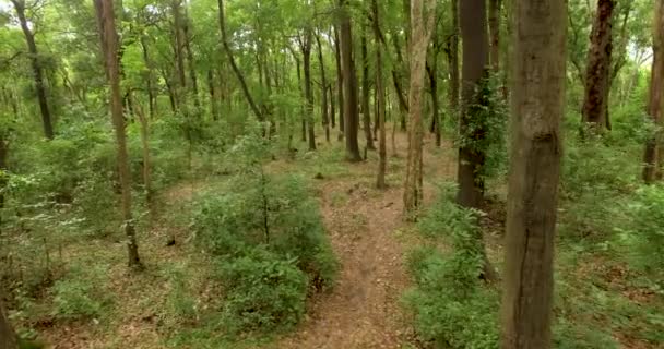 Voo através da selva, sudeste da Ásia — Vídeo de Stock