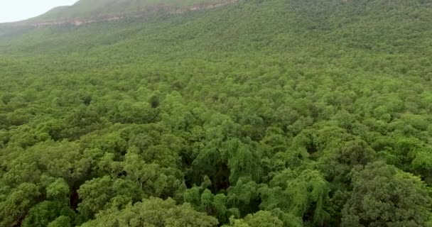 Luchtfoto 's. Vliegen over de prachtige bergrivier en prachtige bossen — Stockvideo