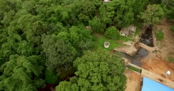 4K aerea di volare sopra una bella foresta verde in un paesaggio rurale — Video Stock