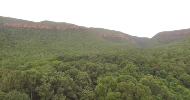 Flying over the mountains covered with green tree — 비디오