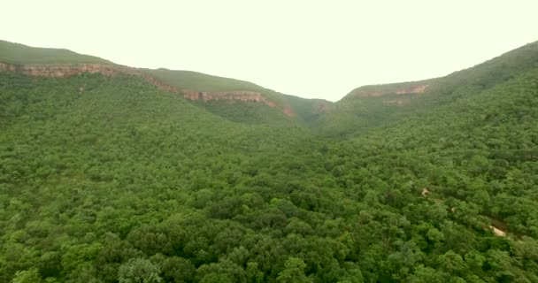 Vue aérienne des jungles de forêt tropicale en Inde . — Video