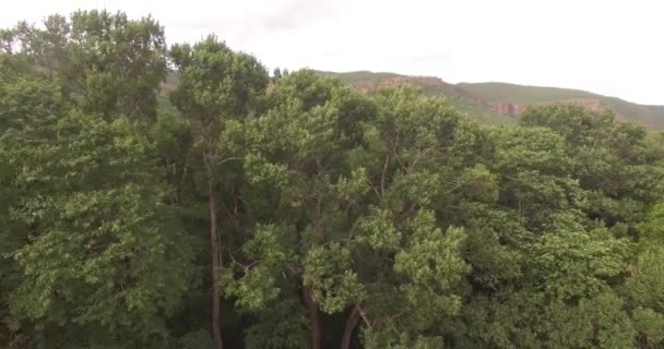Pemandangan menakjubkan dengan pegunungan ditutupi oleh hutan tropis hijau latar belakang — Stok Video
