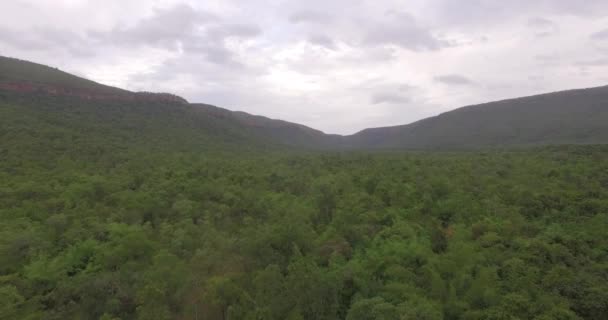 Increíble paisaje con montañas cubiertas por verdes fondos del bosque tropical — Vídeo de stock