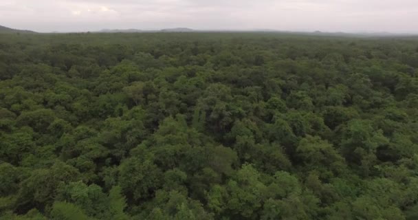 Paysage incroyable avec des montagnes couvertes de forêts tropicales verdoyantes — Video