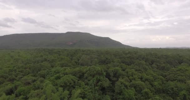 Fantastiskt landskap med berg täckta av gröna tropiska skogar — Stockvideo