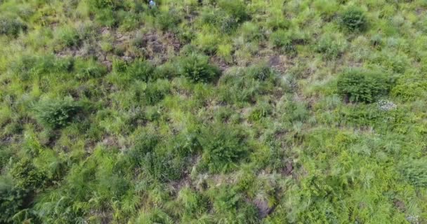 Voando sobre as altas montanhas na bela natureza — Vídeo de Stock