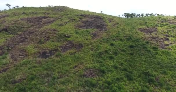 4K udara terbang di atas hutan hijau yang indah di lanskap pedesaan — Stok Video