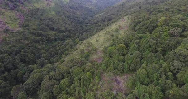 Aerial View. Flying over the beautiful mountain and beautiful forests — 비디오