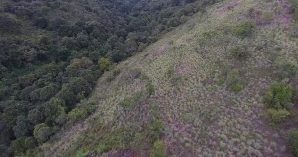 Trópusi erdőkben lévő patak légi felvételei — Stock videók