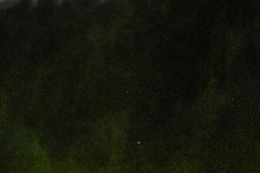 Siyah arka planda renkli toz patlar. Hint Holi renk festivalini kutlayın