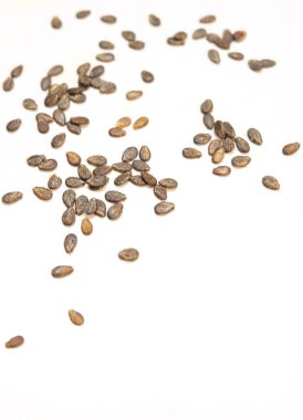 Beyaz arka planda izole edilmiş kurutulmuş karpuz tohumları.