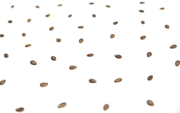 Семена Арбуза Макроизолированные Белом Фоне — стоковое фото