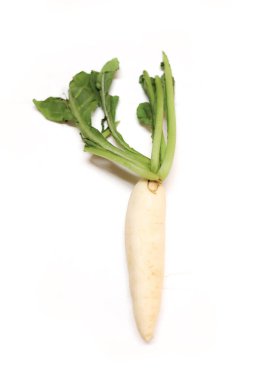 Daikon turpları beyaz arka planda izole edilmiş