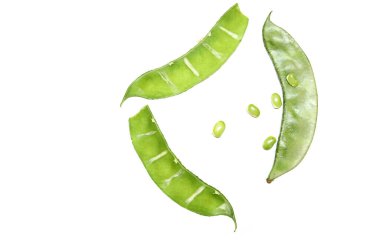 Beyaz arka planda geniş fasulyeler