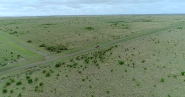 Aerial view of a red car driving on country road — Stock Video