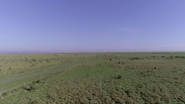Letecký pohled na auto jedoucí po venkovské silnici. Výstřel z bezpilotního letounu přeletěl pole — Stock video