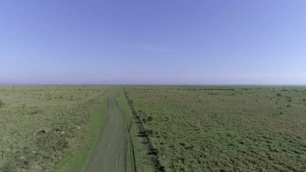 Letecký snímek venkovské silnice mezi poli — Stock video