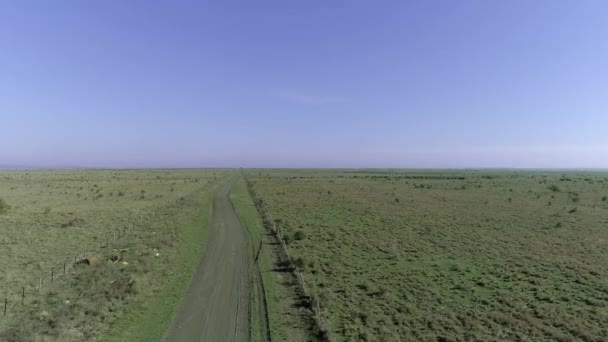 Vue aérienne de la route rurale entre les champs 