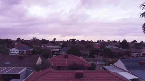 Birds eye εναέρια άποψη των κατοικιών, Μελβούρνη, Αυστραλία — Αρχείο Βίντεο