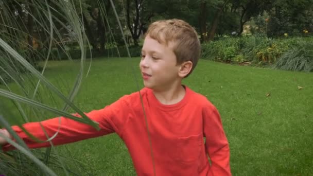Un garçon très mignon touche l'herbe haute tout en tenant un ballon - slowmo 