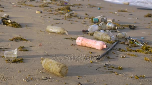 Plastflaskor som nedskräpning kustlinjen längs en strand och i havet — Stockvideo