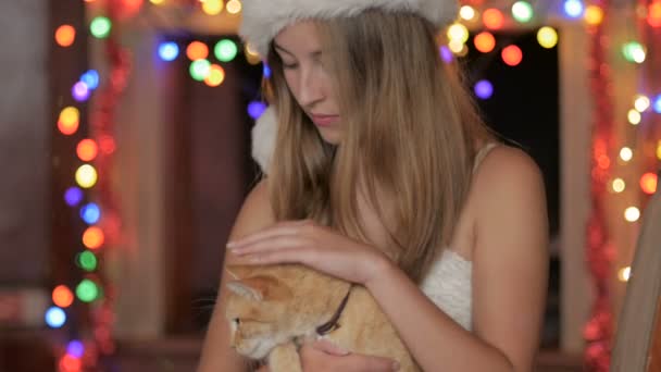 Una mujer joven con un sombrero de Santa mascotas un gato naranja - dolly shot — Vídeo de stock