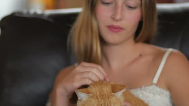 Een jonge vrouw huisdieren haar oranje kat zitten in haar schoot — Stockvideo