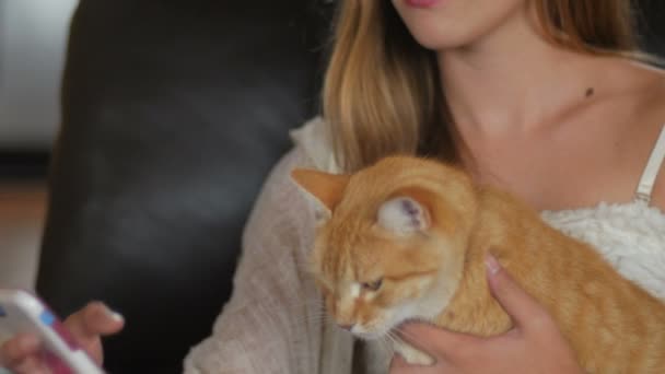 Смешное видео, где два котенка играют на маленькой девочке