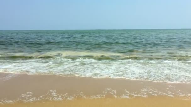 Agua verde tóxica que viene del océano en olas en una playa vacía — Vídeos de Stock
