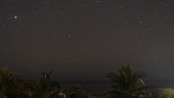 El lapso de tiempo del cielo nocturno con vistas al océano — Vídeos de Stock