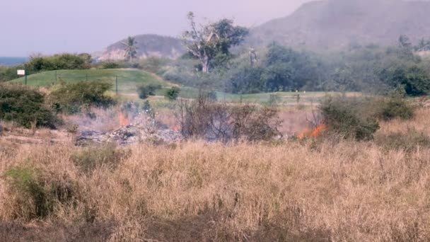 Un campo de hierba seca, arbustos y arbustos arden junto a un campo de golf — Vídeos de Stock