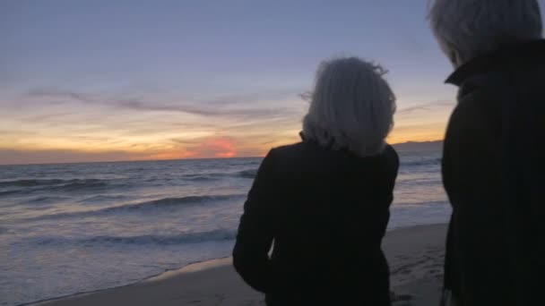 Jubilada sana madura activa de los años 60 pareja abrazando y mirando la puesta de sol — Vídeo de stock