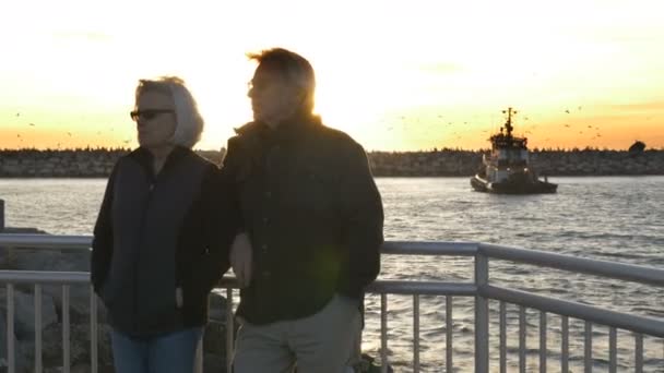 Feliz pareja jubilada disfrutando de vacaciones en el océano en otoño o invierno durante el atardecer — Vídeo de stock