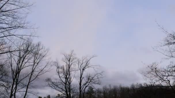 Coucher de soleil coloré time lapse avec des arbres nus et des nuages à la fin de l'hiver — Video