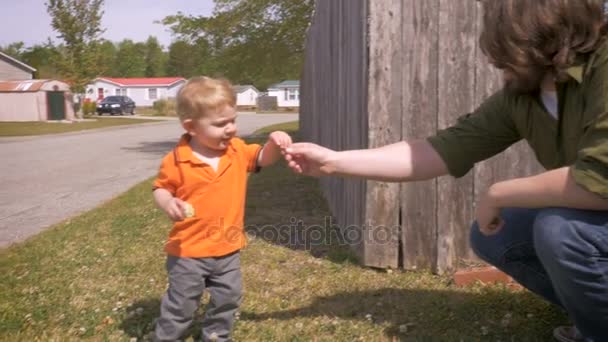 A trusting young toddler takes a flower from his father outside along a fence — Stock Video