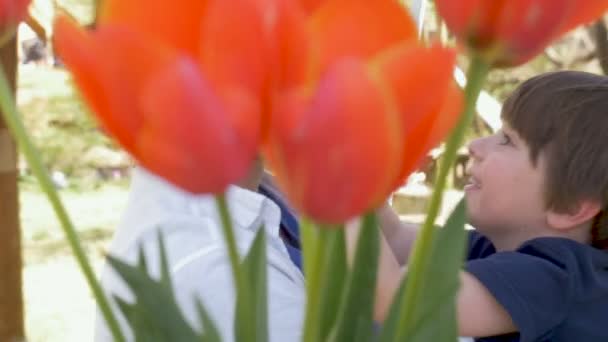 Gelukkig jongetje met zijn papa's gezicht in een tuin buiten spelen — Stockvideo