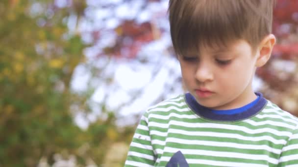 Kleine jongen op zoek naar beneden gericht en richten op iets — Stockvideo