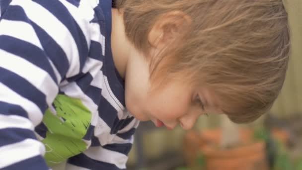 Cute little girl concentrating and playing in a garden outside in slow motion — Stock Video