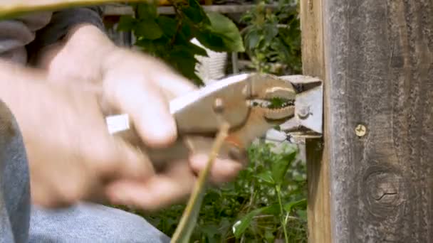 70-летний мужчина использует ржавый гаечный ключ, чтобы удалить гвоздь со сломанного забора — стоковое видео