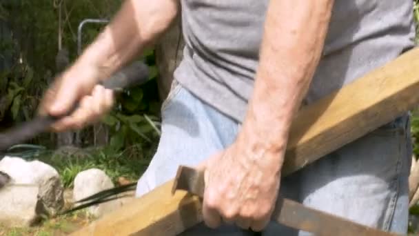 울타리를 수리 하는 동안 나무의 조각에서 못을 제거 하는 건강 한 수석 남자 — 비디오
