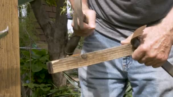 Uomo anziano in pensione attivo riutilizzando un vecchio pezzo di legno per fissare la recinzione — Video Stock