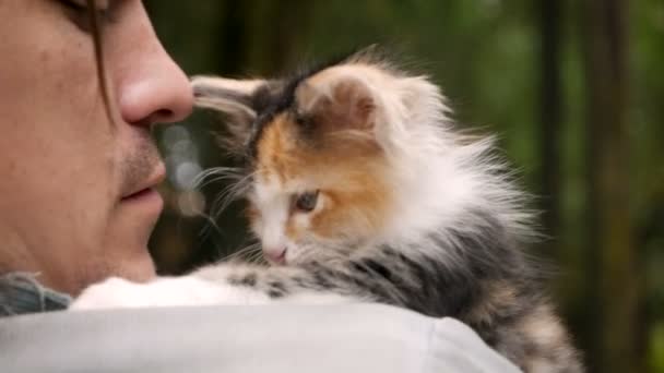 Man praat zachtjes aan een jonge kitten die hij op zijn schouder houdt — Stockvideo