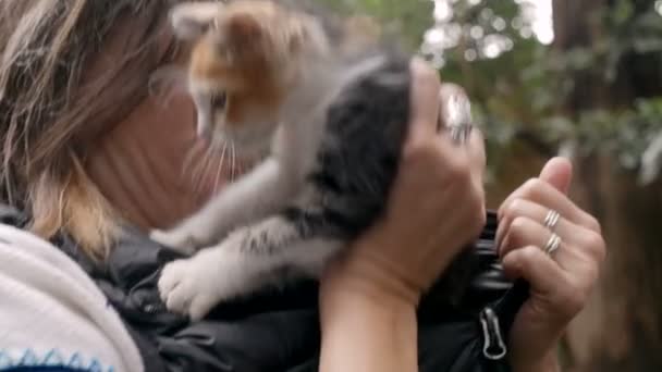 Una donna mette un piccolo gattino nella parte anteriore del cappotto — Video Stock