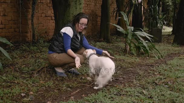 Um cão feliz animado e uma mulher sendo afetuosa — Vídeo de Stock